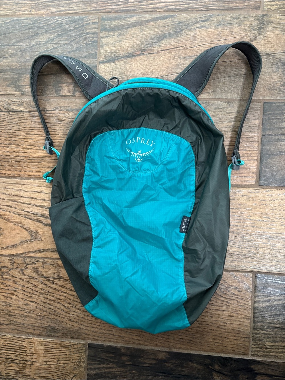 Osprey Teal and Black Lightweight Packable Backpack